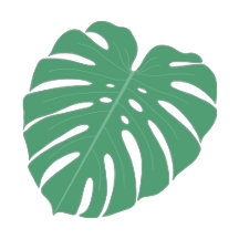 Palm Leaf