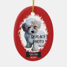 Pet Photo Ornament Personalized