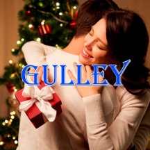 Gulley_Name T-Shirt