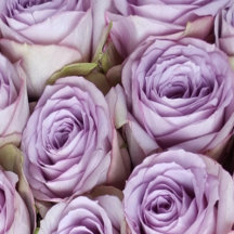 European Flower Markets Inspire Travel 