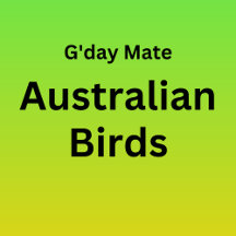Australian Birds