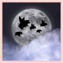 Nocturnal Flying Pigs