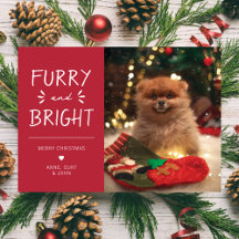 Dog Pet Holiday Christmas Cards   Top Picks