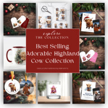 Best Selling Adorable Highland Cow  