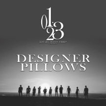 01.23 Designer Pillows