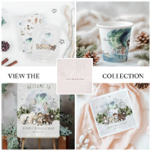 Arctic Magic Under the Northern Lights