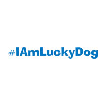 #IAmLuckyDog