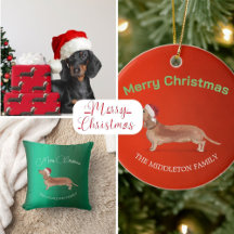 Christmas Dog Dachshund 