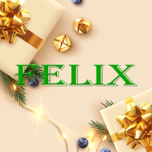 Felix Name T-Shirt