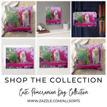 Cute Pomeranian Dog on Garden Bench with Florals