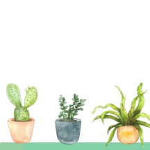 Don't We All Love Plants