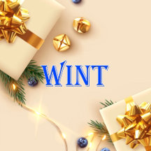 Wint_Name T-Shirt