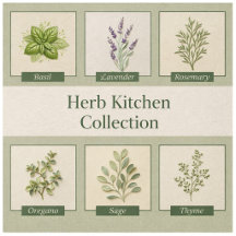 Kitchen Herb Garden