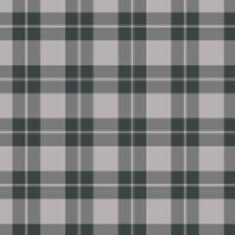 Plaid No. 27