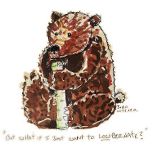 Bear Contemplates Hibernation