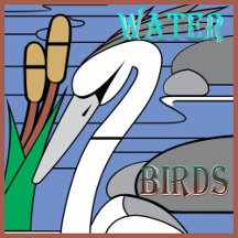 Aquatic / Water Birds Gifts Artwork