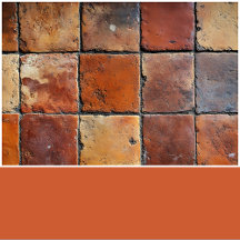 Terracotta Orange Solid Color