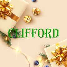 Clifford Name T-Shirt
