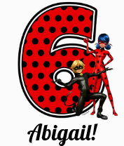 Ladybug & Cat Noir 6. Geburtstag T-Shirt