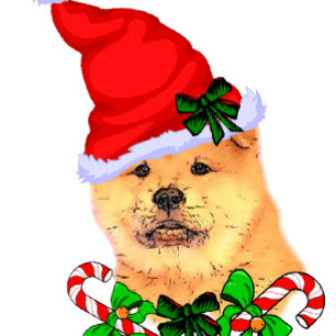 Niedlich Chow Chow Weihnachten