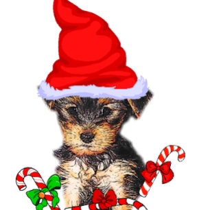 Yorkshire Terrier Christmas Feiertagskarte