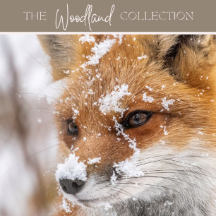 Weihnachtskarte - Kranz & Taube - Weltfrieden Karte