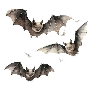 'Das ist fast Halloween-Tasse Zweifarbige Tasse
