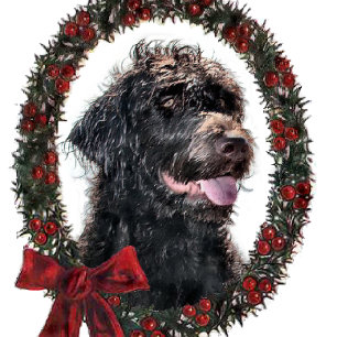 Labradoodle Weihnachtsgeschenke Feiertagskarte