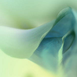 Romantische Blume in Blautönen Hochzeit Einladung