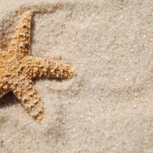Einladung zur Hochzeit am Strand: Starfish in Sand