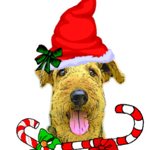 Airedale Terrier Weihnachtsgeschenke Feiertagskarte
