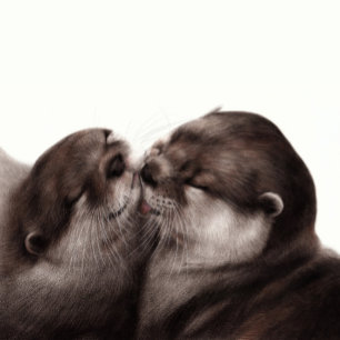 Handgemalte Otters - Zender Moment Wildlife Art Aufkleber