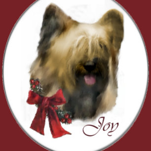 Briard Christmas Geschenke Feiertagskarte