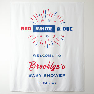 Red White and Due Patriotic 4. Juli Babydusche Einladung