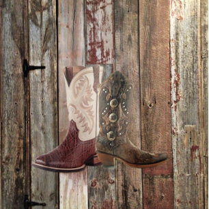 Stacheldraht Western Hochzeit Ankündigung