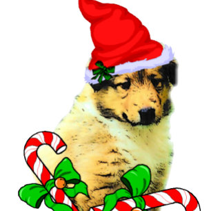 Collie Puppy Christmas Feiertagskarte