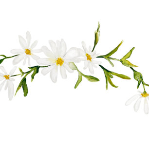 Wasserfarben Daisy Custom Floral Wedding Einladung