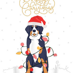 Brother Bear LGBT Weihnachtsregenbogen Pride Gay L Keramik Ornament