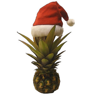Weihnachtsmannmütze Ananas flache Note Card. Mitteilungskarte