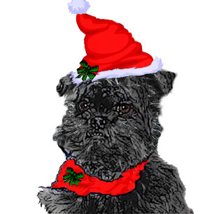 Affenpinscher Weihnachtskarten Personalisiert Feiertagskarte