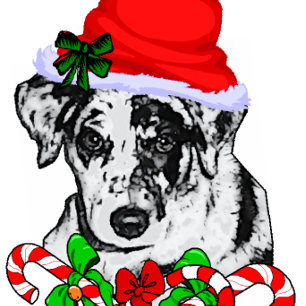 Catahoula Leopard Dog Weihnachtsgeschenke Feiertagskarte