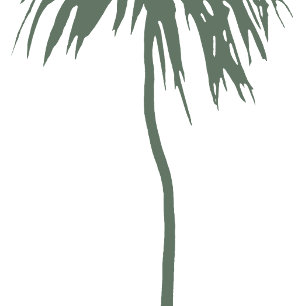 Mele Kalikimaka Hawaiian Merry Christmas Palm Folien Feiertagskarte