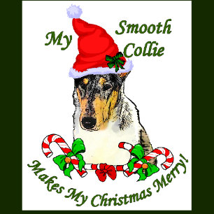 Smooth Collie Weihnachtspenden Feiertagskarte