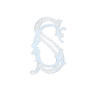 RSVP-Karten der Jahrtausende und elegant Begleitkarte