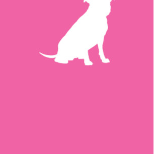 Pit Bull Dog Babydusche Pink Girl Pitbull Einladung