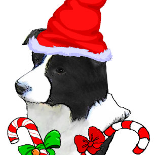 Niedlich Border Collie Weihnachten
