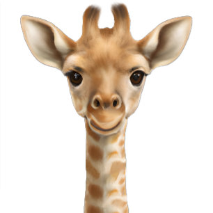 Oh Boy Baby Giraffe Bücher für Baby Dusche Begleitkarte