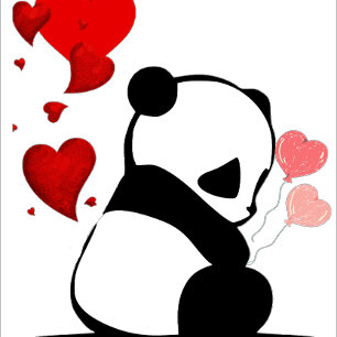 Panda in Rosa Geschenkschachtel