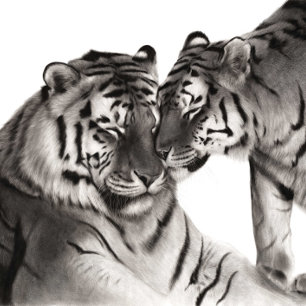 Tiger Love Art - Handgemalte Wildlife-Dekoration Fotodruck