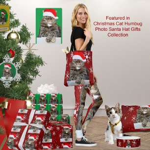 Weihnachts-Cat-Foto in Weihnachtsmannmütze Schneef